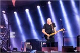 Gilmour 160628 (c) Andreas Mueller 424